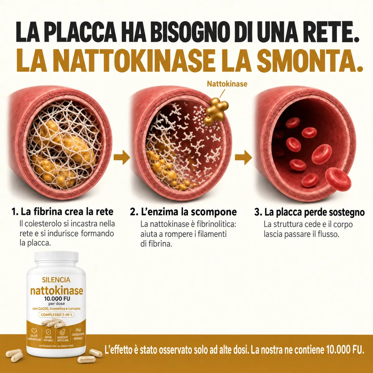 Benefici principali della nattokinase