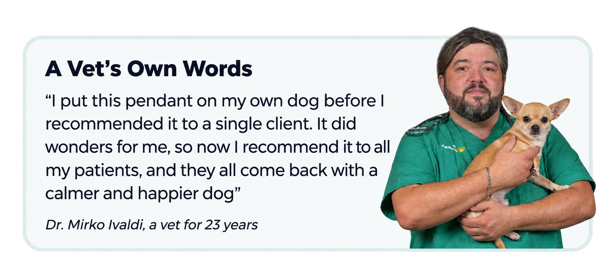 Vet recommendation