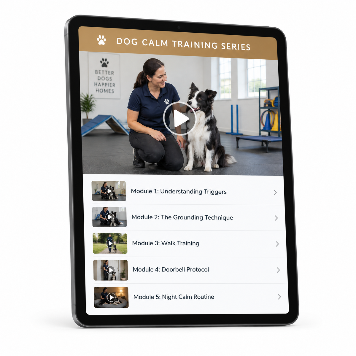 Dog Calm Training Video Series (5 Modules)