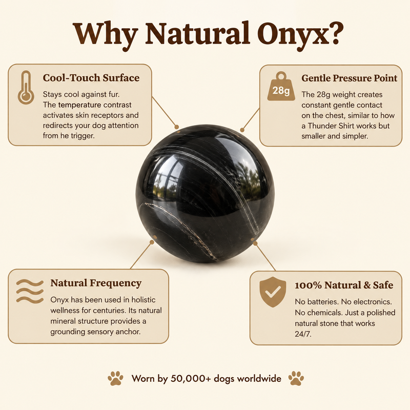 04 Why Onyx