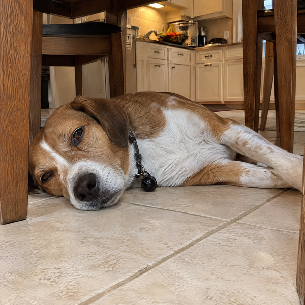 REV 04 baby naps